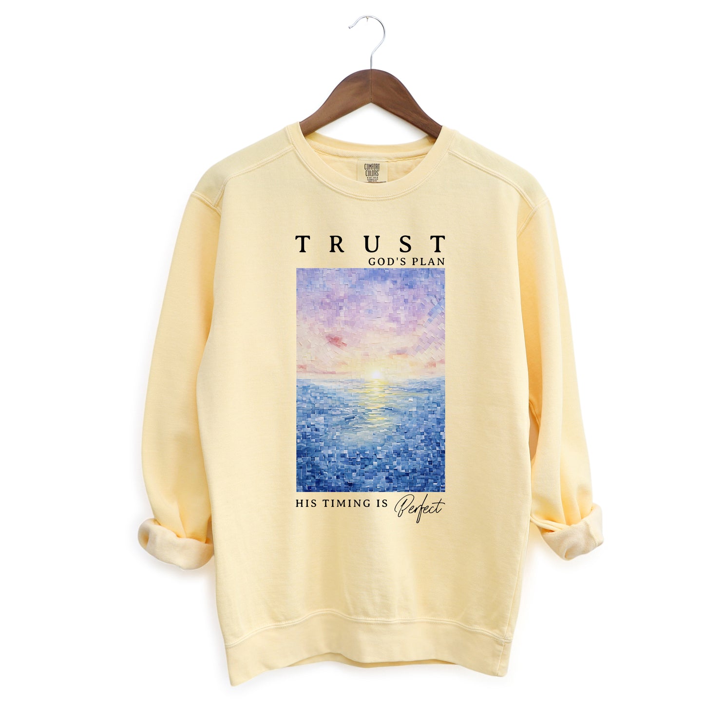Trust God's Plan | Garment Dyed Sweatshirt