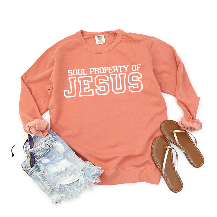 Soul Property Of Jesus | Garment Dyed Sweatshirt
