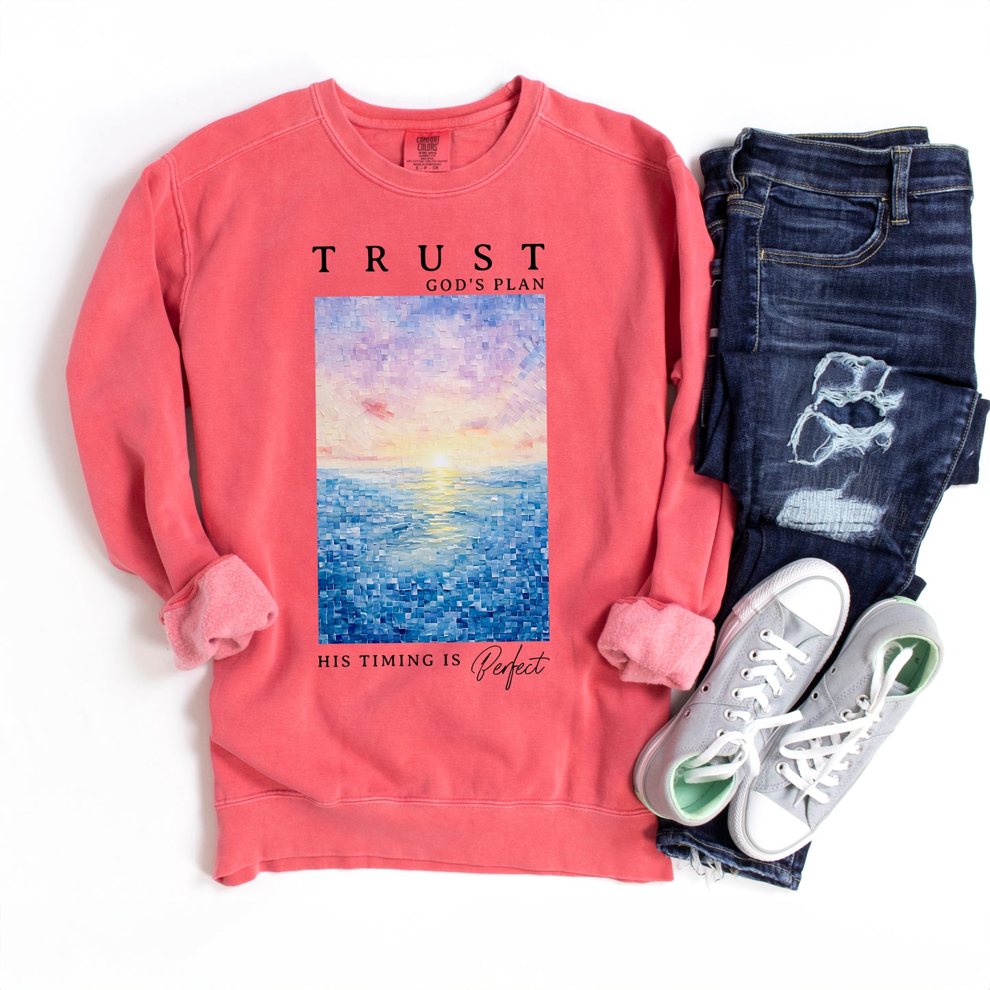 Trust God's Plan | Garment Dyed Sweatshirt