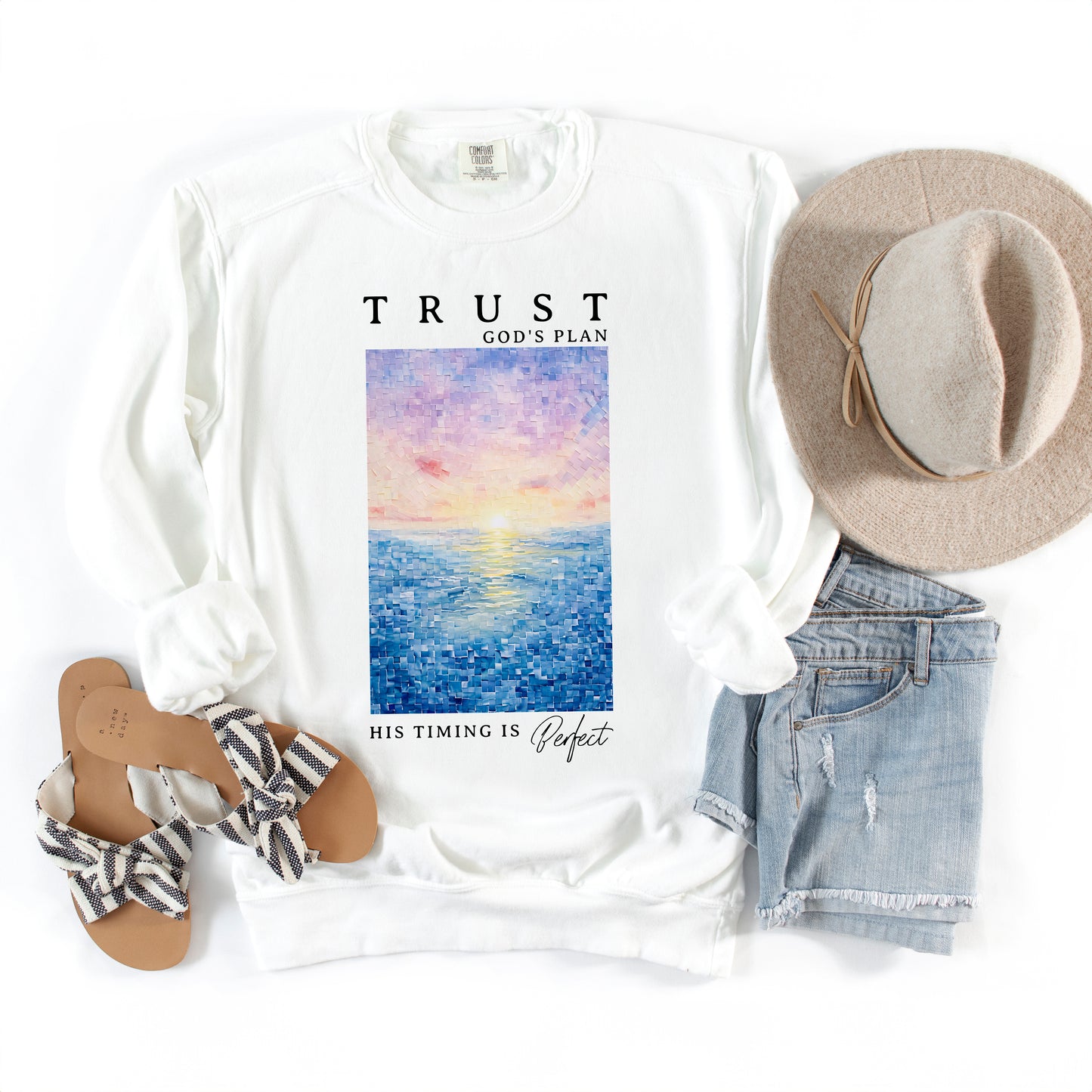 Trust God's Plan | Garment Dyed Sweatshirt