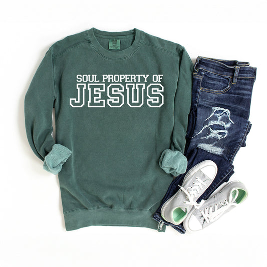 Soul Property Of Jesus | Garment Dyed Sweatshirt