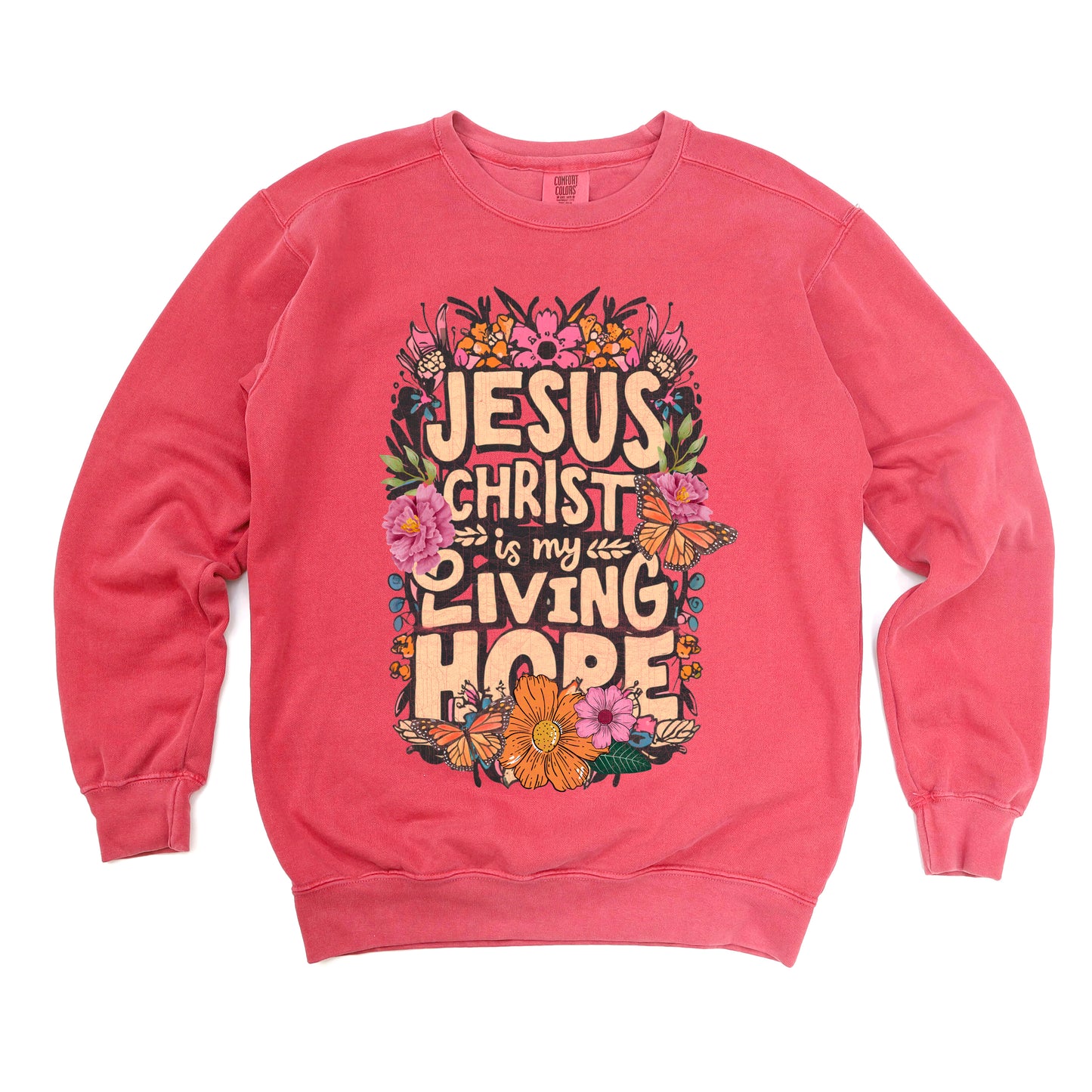 Jesus Is My Hope | Garment Dyed Sweatshirt